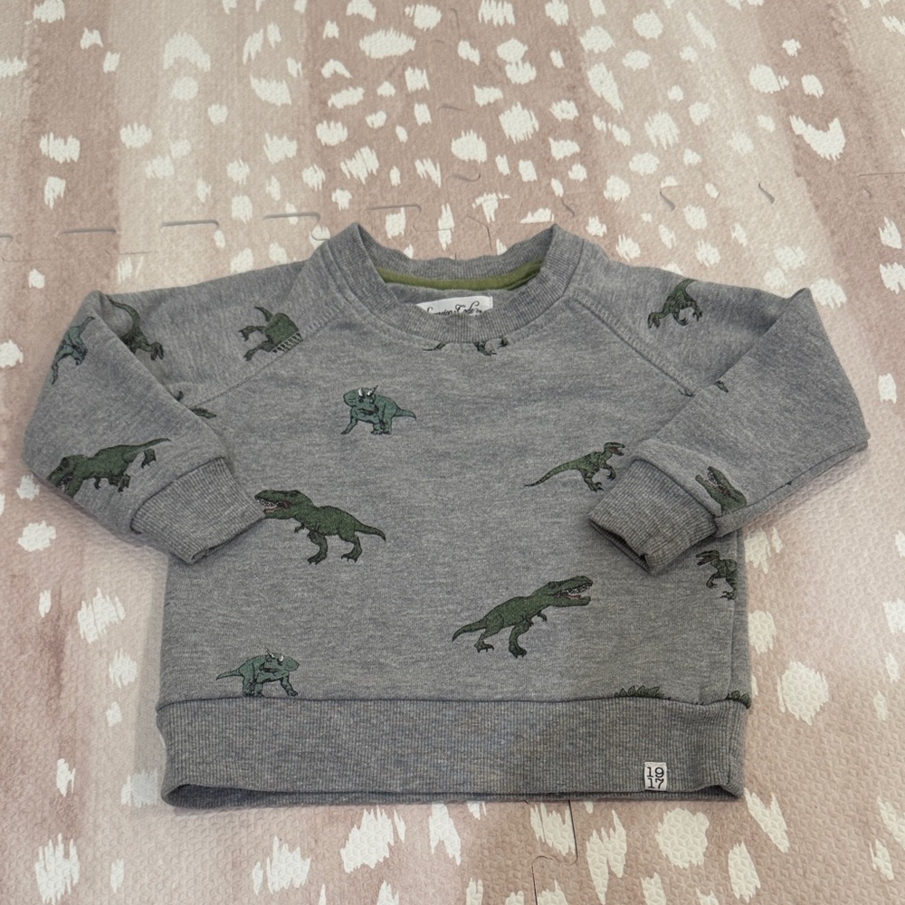 Sovereign Code Boys Dinosaur Sweatshirt Gray Size 18M - Picture 1 of 11
